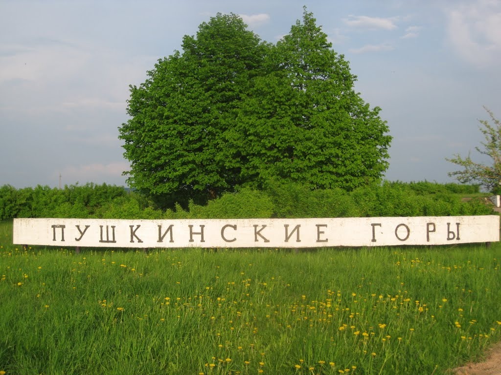 На жителя Пушкиногорского района составили протокол по «дискредитации» армии